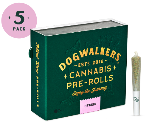Dogwalkers - North Face Off Rythm