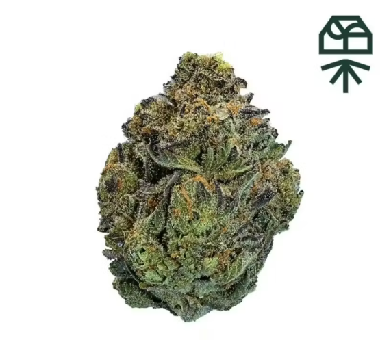 Find. - Astro Gmo Grassroots