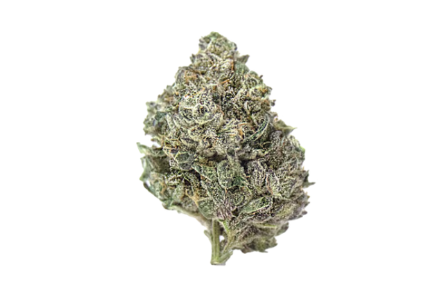 Flora - Affie Og Flora Arbor