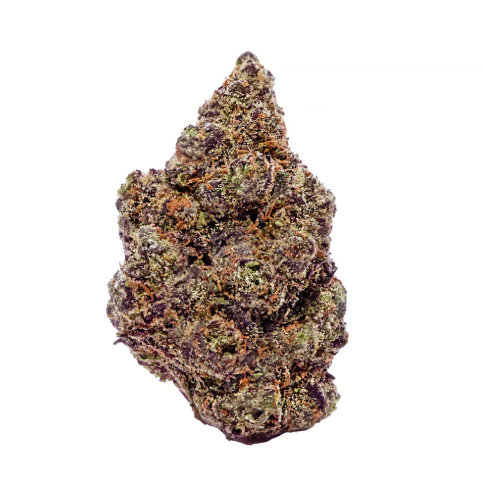 Flora - Lemon Cherry Gelato Flora Arbor