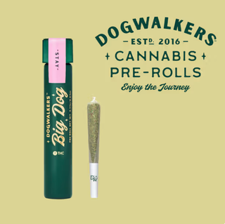(Stay) Afternoon Delight #4 - Single Pre Roll Dogwalkers
