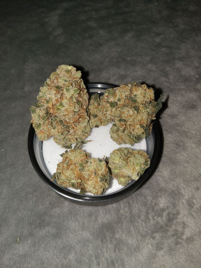 Motor Breath 15 Galaxy Labs