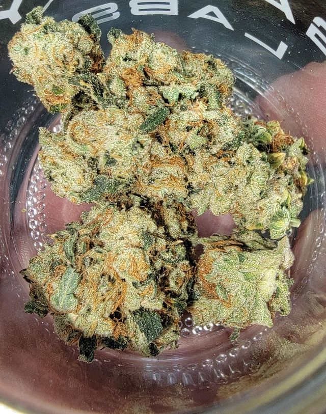 Motor Breath 15 Galaxy Labs