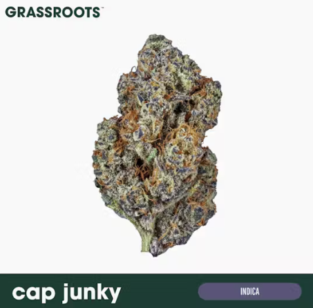 Cap Junky Grassroots