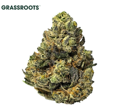 Layer Cake Grassroots