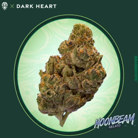 Moonbeam Gelato Grassroots