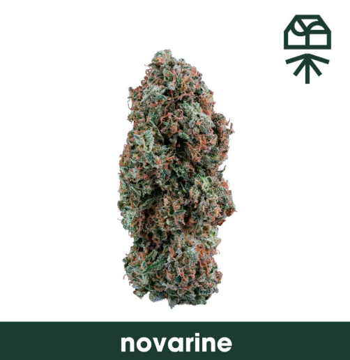 Novarine Grassroots