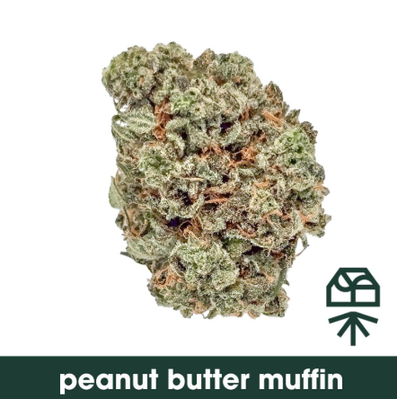 Peanut Butter Muffin Grassroots