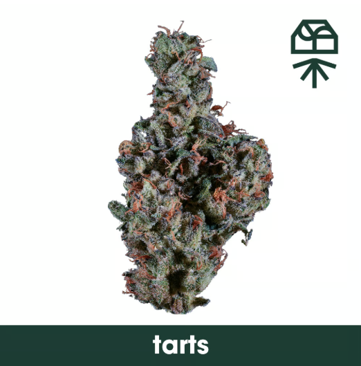 Tarts Gram Flower Grassroots
