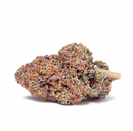 Higher Self - Purple Tangie 1937
