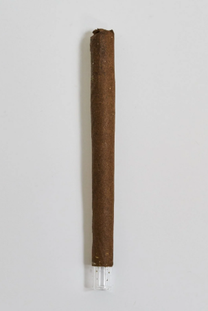 Lobo Bold - Ic Collective Tidewater Lobo Blunt 1937