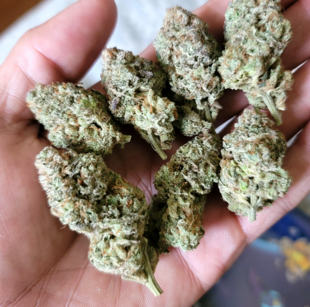Gas Nana Nature's Grace