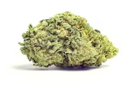 Hash Burger Gram Flower Nature's Grace