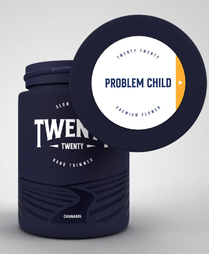 Nature'S Grace - Twenty/Twenty Problem Child