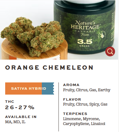 Orange Chemeleon Nature's Heritage