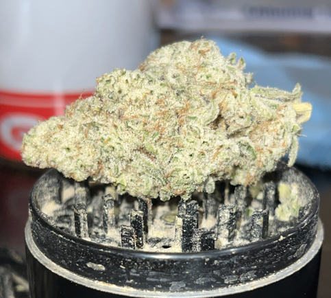 Cap Junky Gram Flower Nez