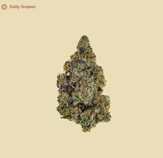 Daily Grapes Nez