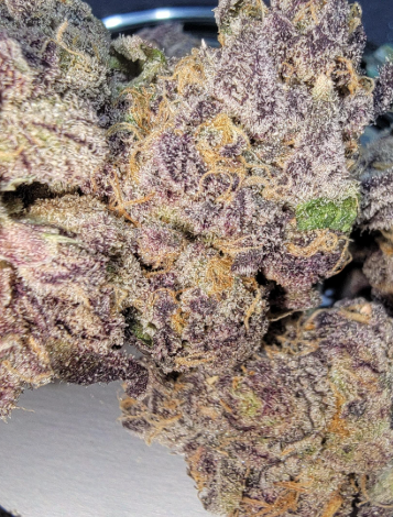Otherside - Gelato #33 Nez