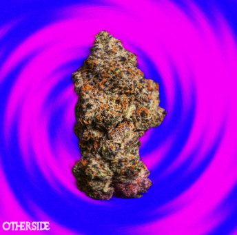 Otherside - Ice Cream Cake Nez