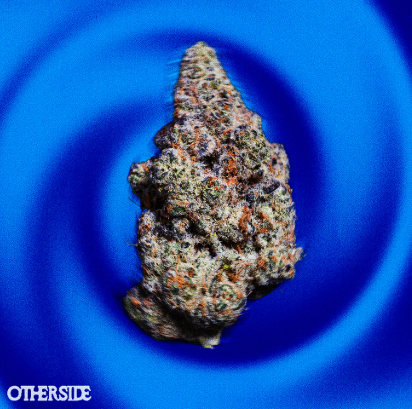 Otherside - Platinum Cake Nez