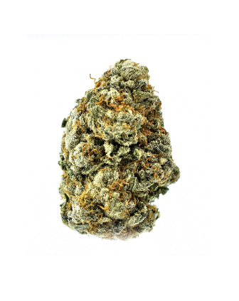 Paul Bunyan - Bruce Banner Pts