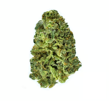 Paul Bunyan - Champion City Chocolate Pts