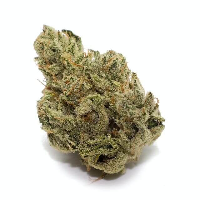 Paul Bunyan - Gg4 Pts