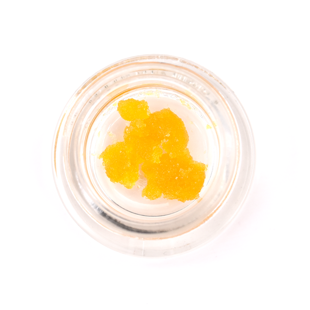 Papaya X Gelato Pts