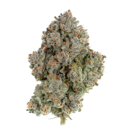 Redemption - Another Level Redemption Botanicles