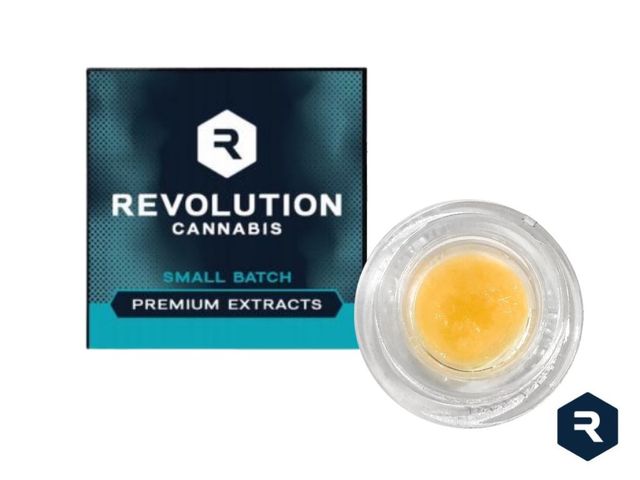 Sun King Og Revolution