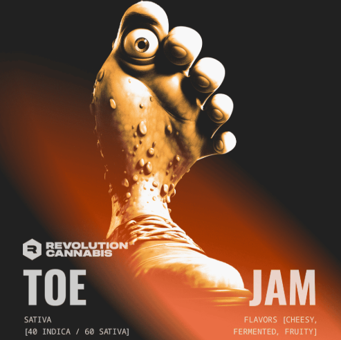 Toe Jam Badder Revolution