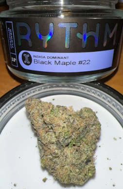 Black Maple #22 Rythm