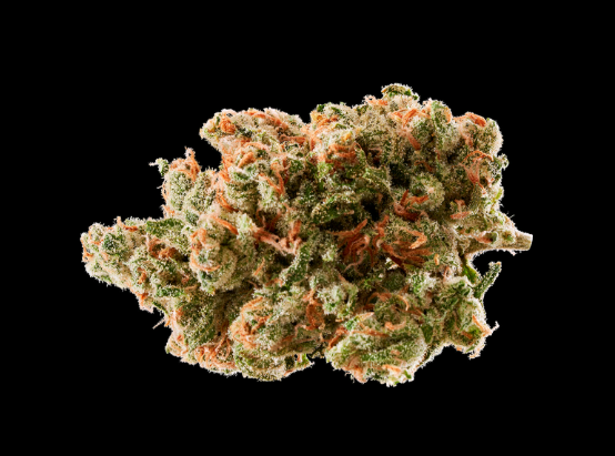 Jack Herer Rythm