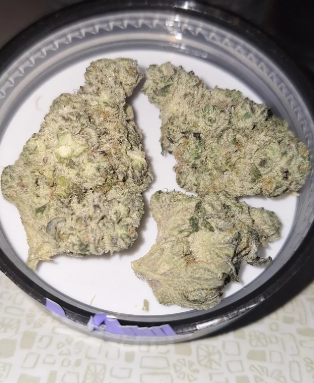 Sneak Attack Og Rythm