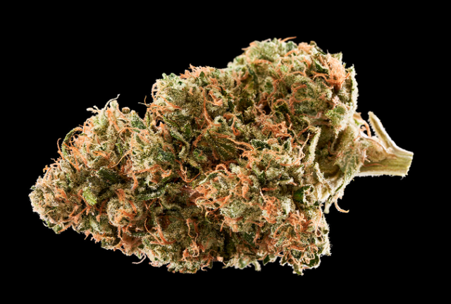 Sour Diesel Rythm