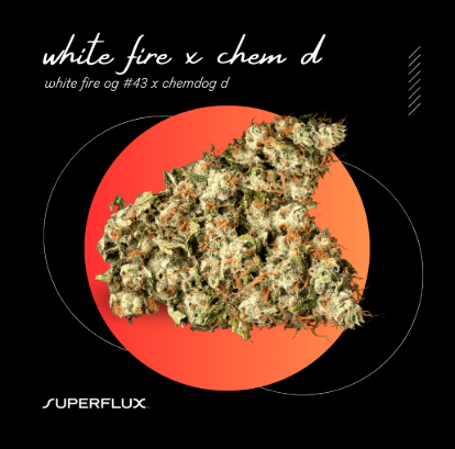 White Fire X Chem D Superflux
