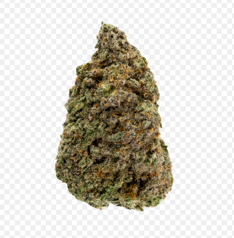 Tales & Travels - Bubble Bath (7G) Revolution