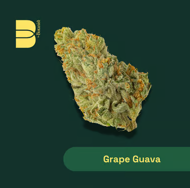 Grape Guava The Botanist