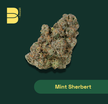 Mint Sherbert The Botanist