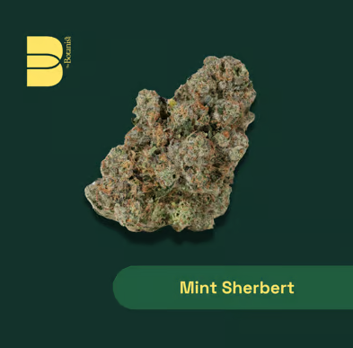 Mint Sherbert The Botanist