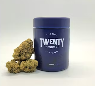 Twenty Twenty - Black Lime 98