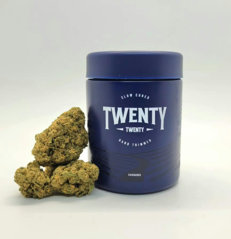 Twenty Twenty - Hot Pants Nature's Grace