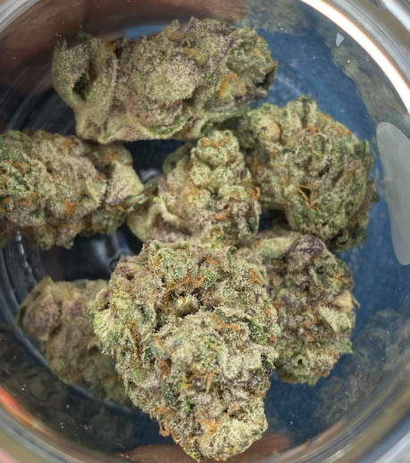 Blue Dream Upnorth