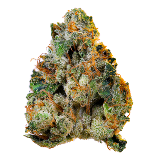 Durban Poison Upnorth