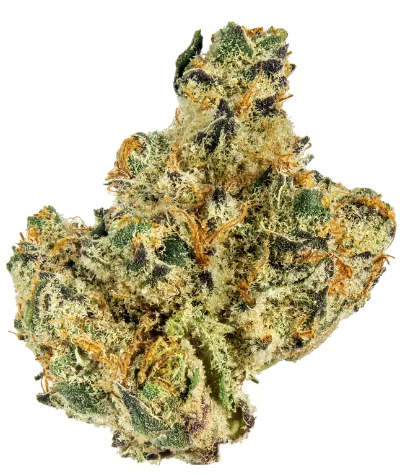 The Essence Banana Breath Verano