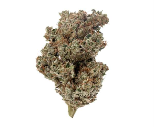The Essence Burmese Kush Verano