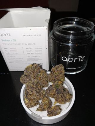 Jokerz 31 Aeriz
