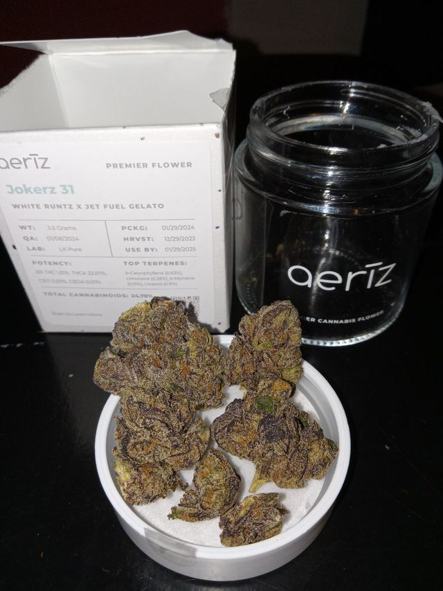 Jokerz 31 Aeriz