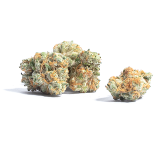 Mule Fuel Aeriz