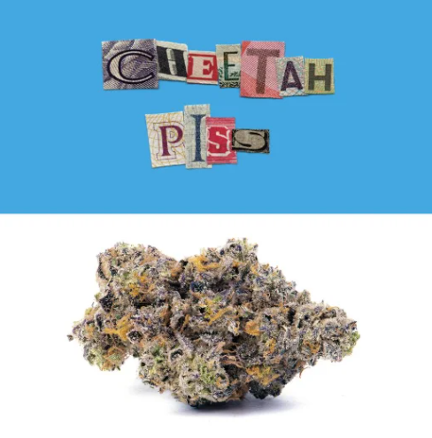 Cookies - Cheetah Piss Aeriz